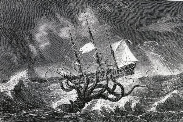 Kraken tor onion зеркало