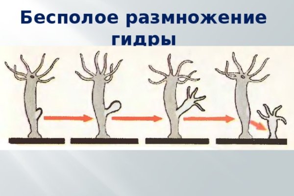 Кракен маркетплейс kr2connect co
