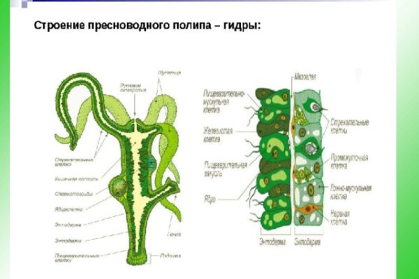 Vk8 at кракен