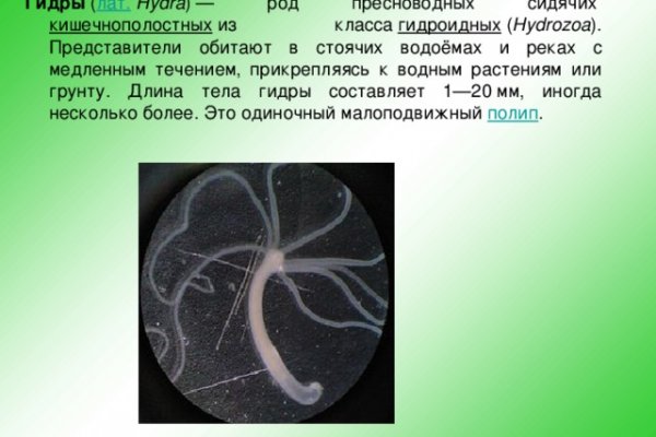 Кракен не работает