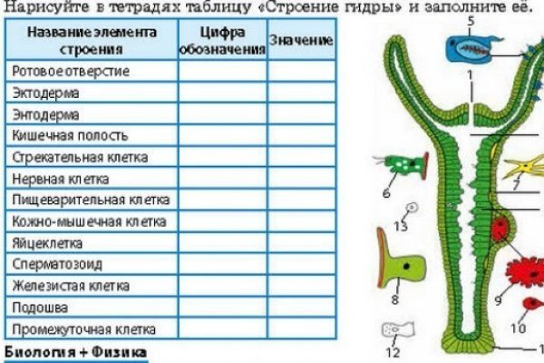 Кракен маркетплейс