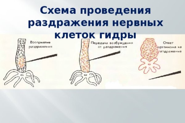 Кракен вход