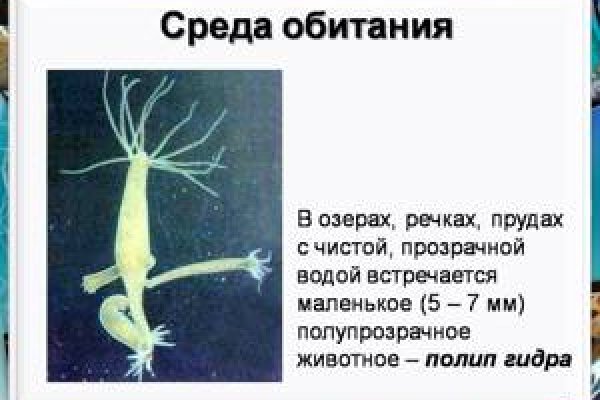 Кракен оф