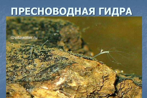Кракен маркет только через тор скачать