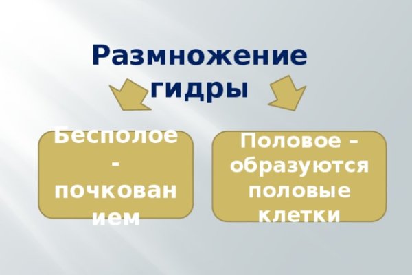 Kraken официальный сайт вход
