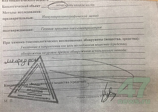 Впн для кракена